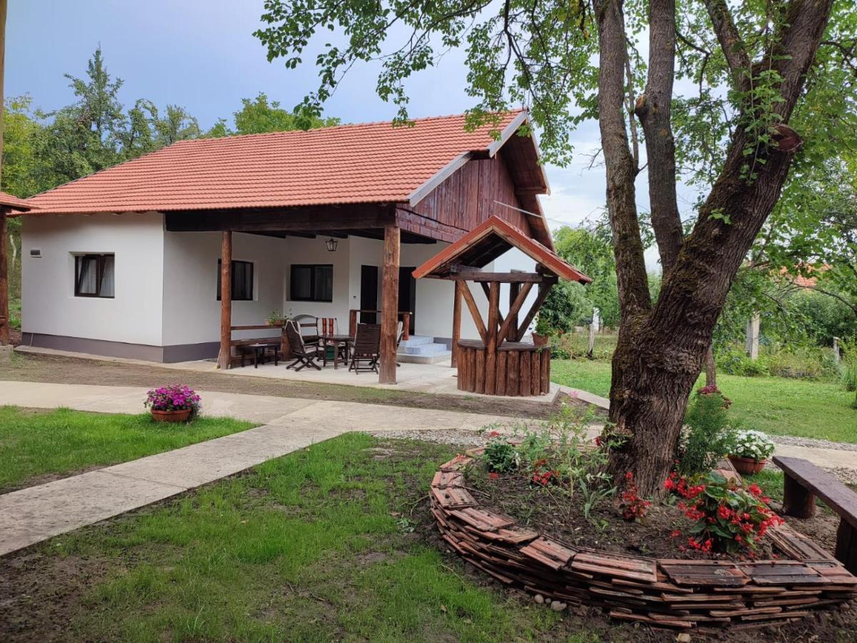 Dumbrava Minunata Pesteana Exterior foto