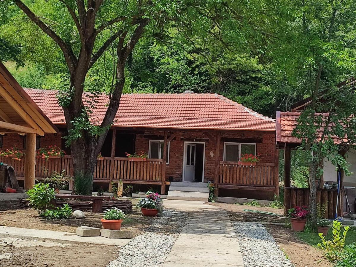 Dumbrava Minunata Pesteana Exterior foto